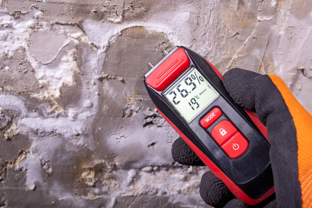 Best Mold Testing  in Mississippi State, MS