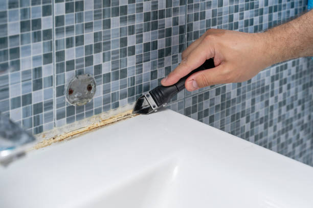Best Local Mold Removal Service  in Mississippi State, MS