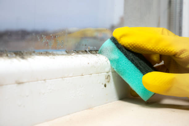 Certified Mold Removal in Mississippi State, MS